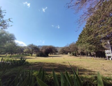 IMG_20250607_125012