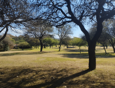 Parque 1