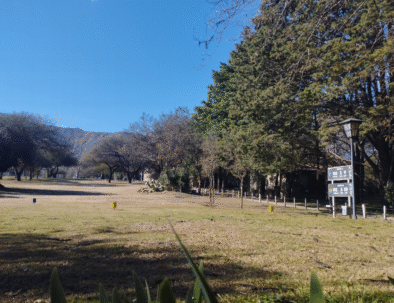 Parque 2