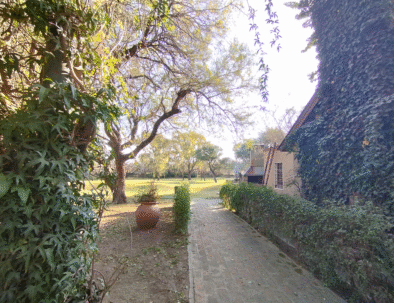 Posada 3