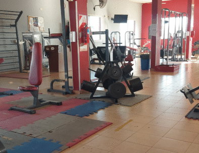 gym 3
