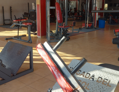 gym 4